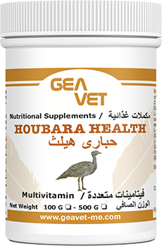Geavet Houbara Health