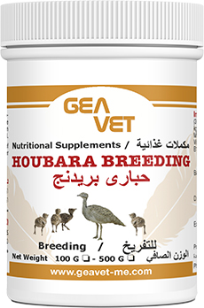 Geavet Houbara Breeding