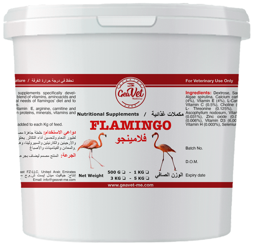 Geavet Flamingo