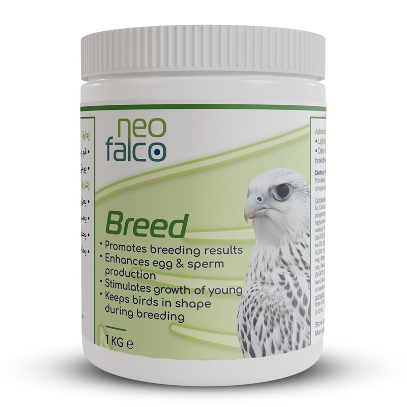 Neofalco Breed