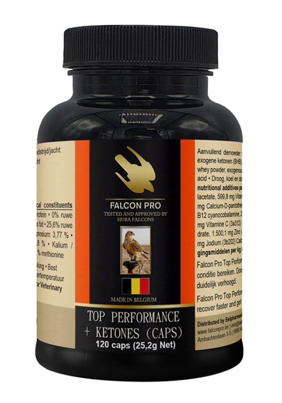 Falcon Pro Top Performance + Ketones (Caps)
