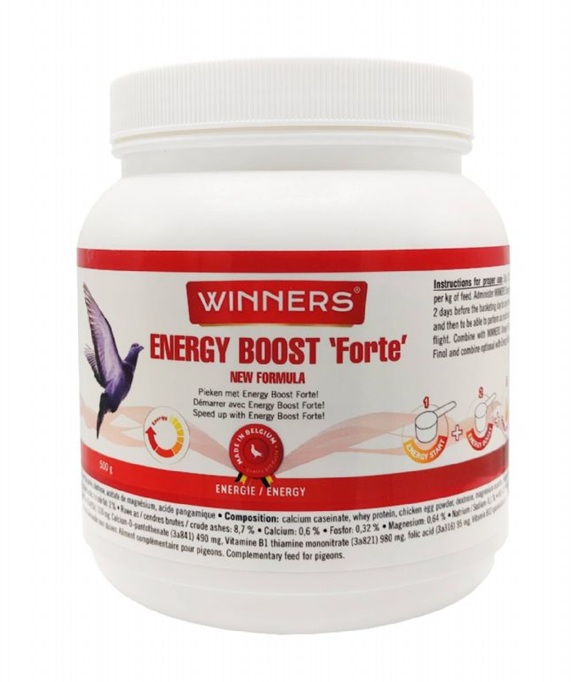 Winners Energy Boost Forte (500 g)