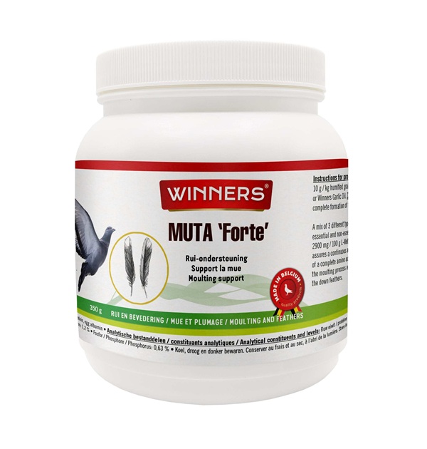 Winners Muta Forte (350 g)