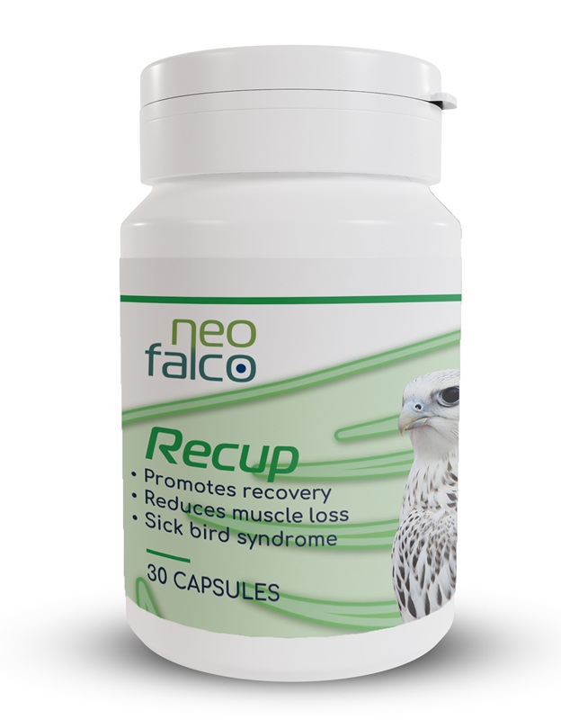 Neofalco Recup (30 Caps)